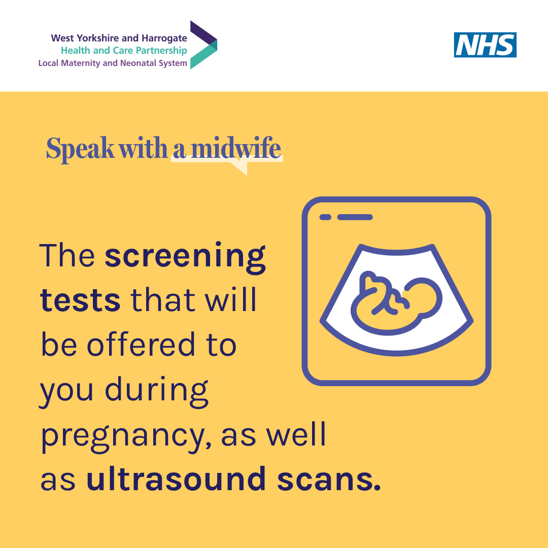 WYHHCP LMNS_Speak With a Midwife Campaign_Design 2 Frame 6.jpg