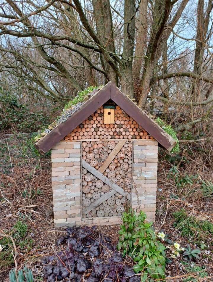 Insect hotel