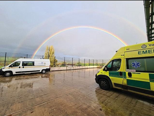 rainbow connecting YAS vehicles